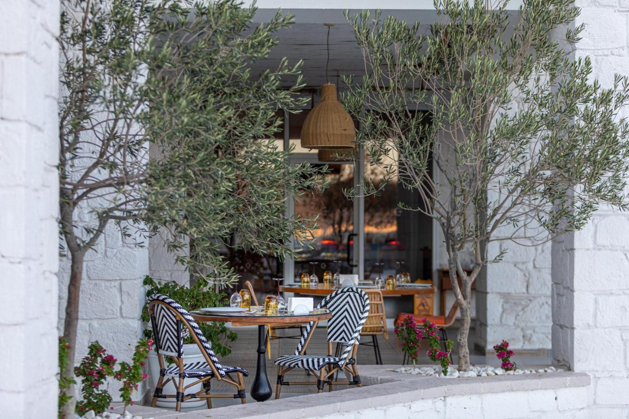 Design Seya Alacati